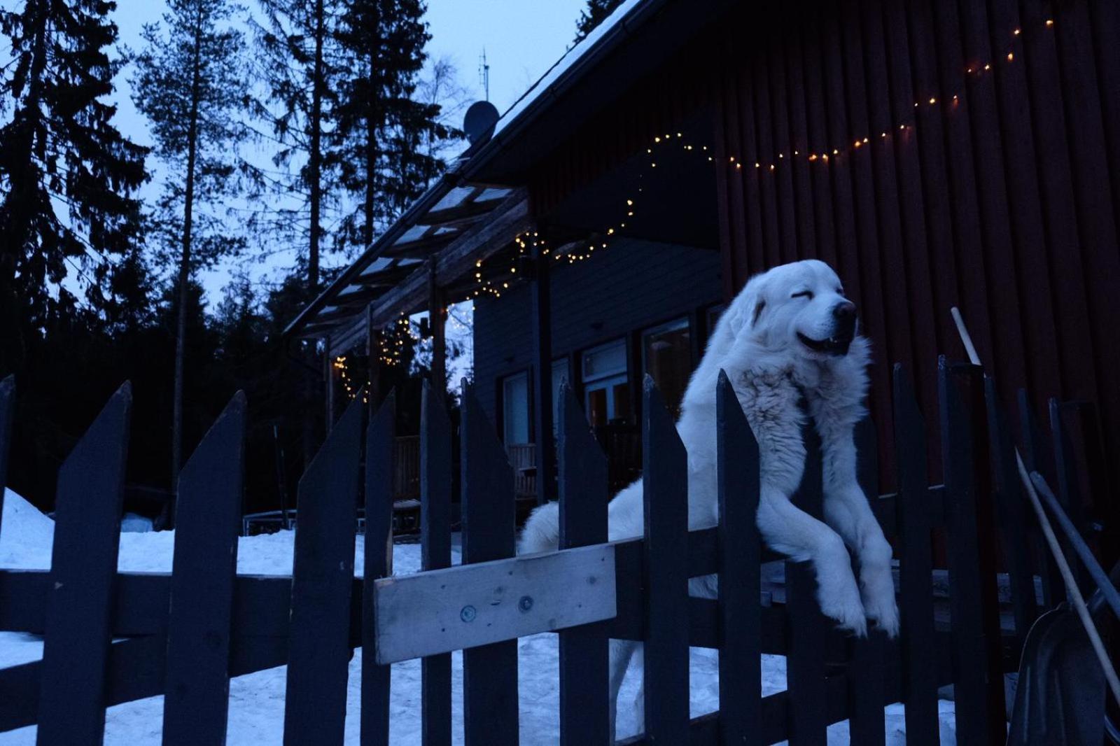 Laplandbike Apartment Arctic Circle Rovaniemi Luaran gambar